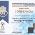 Ampliar imagen: certificate 7
