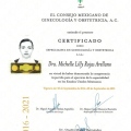 Ampliar imagen: certificate 3
