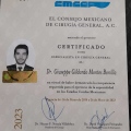 Ampliar imagen: certificate 3