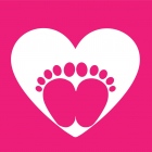 Lic. Yolanda Estrada