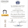 Ampliar imagen: certificate 2