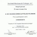 Ampliar imagen: certificate 65