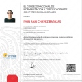 Ampliar imagen: certificate 7