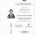Ampliar imagen: certificate 3
