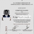 Ampliar imagen: certificate 2