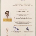 Ampliar imagen: certificate 1