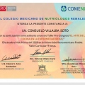 Ampliar imagen: certificate 11