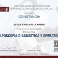 Ampliar imagen: certificate 5