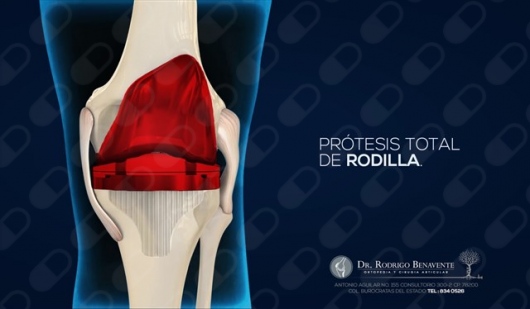 Rodrigo Alfonso Benavente Fuentes-2