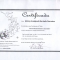 Ampliar imagen: certificate 13