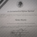 Ampliar imagen: certificate 17