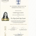 Ampliar imagen: certificate 4