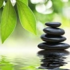 Lic. Irene Quintero Herrera