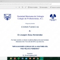 Ampliar imagen: certificate 9