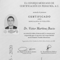 Ampliar imagen: certificate 2