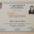 Ampliar imagen: certificate 86