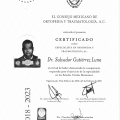 Ampliar imagen: certificate 4