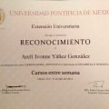 Ampliar imagen: certificate 14