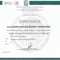 Ampliar imagen: certificate 6