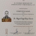 Ampliar imagen: certificate 2
