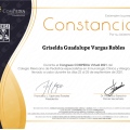 Ampliar imagen: certificate 4
