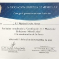 Ampliar imagen: certificate 10