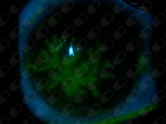 Julio Hernández Camarena-11