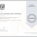 Ampliar imagen: certificate 6