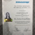 Ampliar imagen: certificate 1