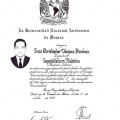 Ampliar imagen: certificate 11