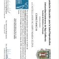 Ampliar imagen: certificate 13