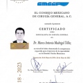 Ampliar imagen: certificate 2
