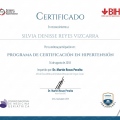 Ampliar imagen: certificate 8