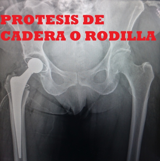 Gerardo Segundo Primero-13