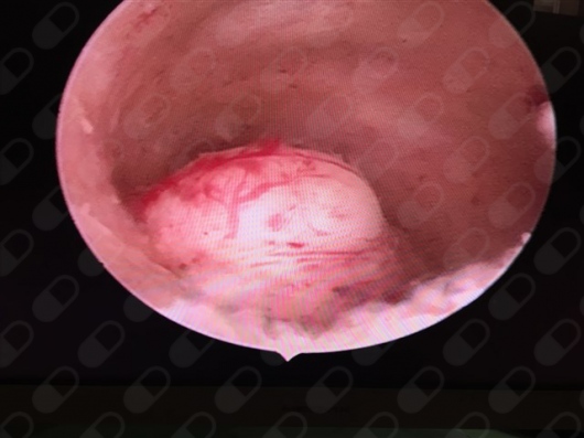 Alfonso Valdés Domínguez-19