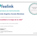 Ampliar imagen: certificate 9