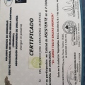 Ampliar imagen: certificate 12