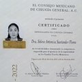 Ampliar imagen: certificate 2