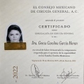 Ampliar imagen: certificate 3