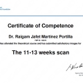 Ampliar imagen: certificate 17
