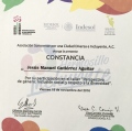 Ampliar imagen: certificate 25