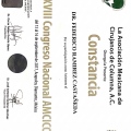 Ampliar imagen: certificate 15