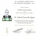 Ampliar imagen: certificate 1