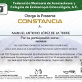 Ampliar imagen: certificate 27