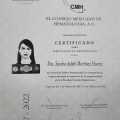 Ampliar imagen: certificate 1