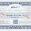 Ampliar imagen: certificate 4