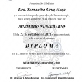 Ampliar imagen: certificate 4
