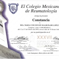Ampliar imagen: certificate 35