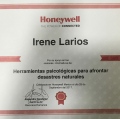 Ampliar imagen: certificate 6