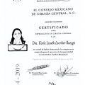 Ampliar imagen: certificate 3